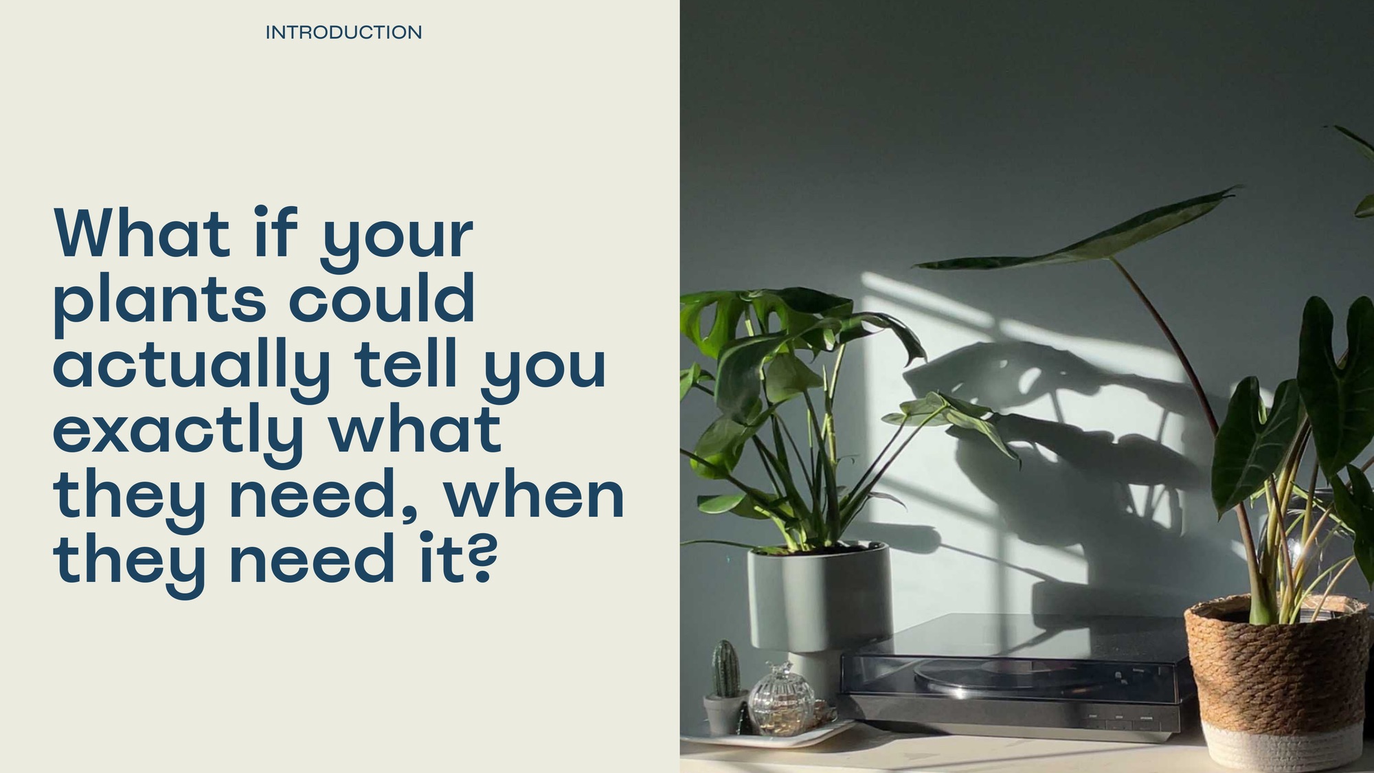 What if your plants could actually tell you exactly what they need, when they need it?