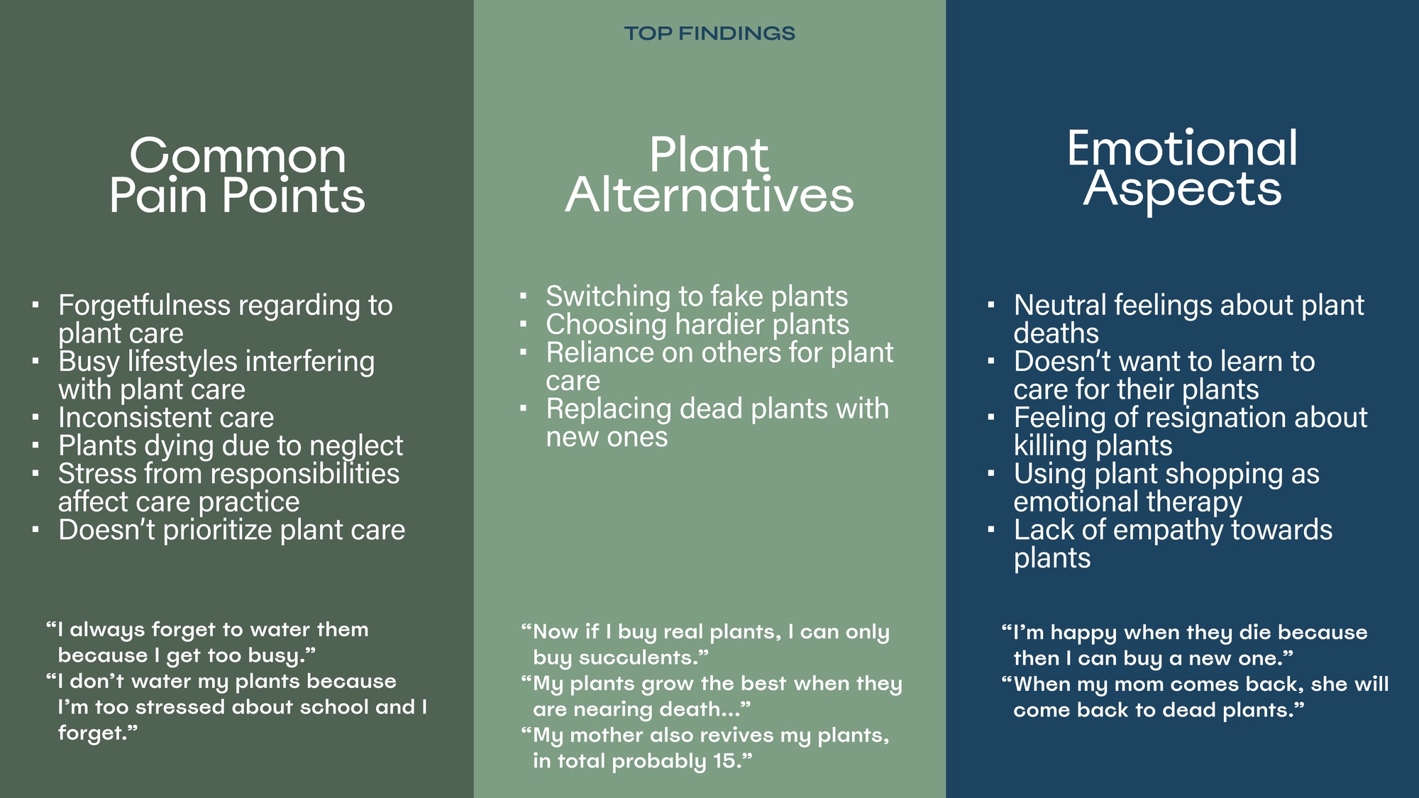 Insight clustering: plant alternatives and emotional aspects