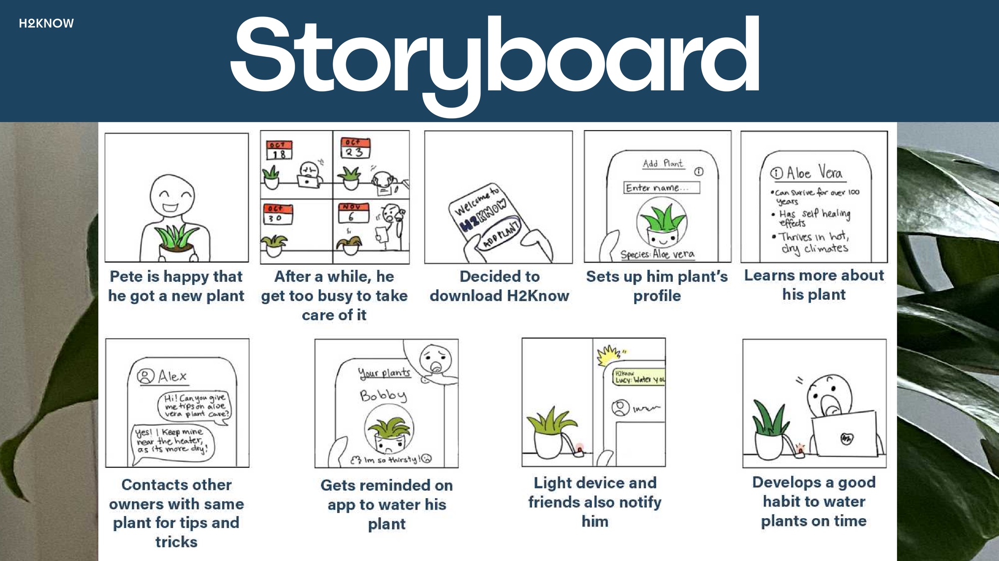 Storyboard: Pete buys plant, gets busy, downloads H2Know, sets up profile, gets reminded, light and friends notify, develops good habit