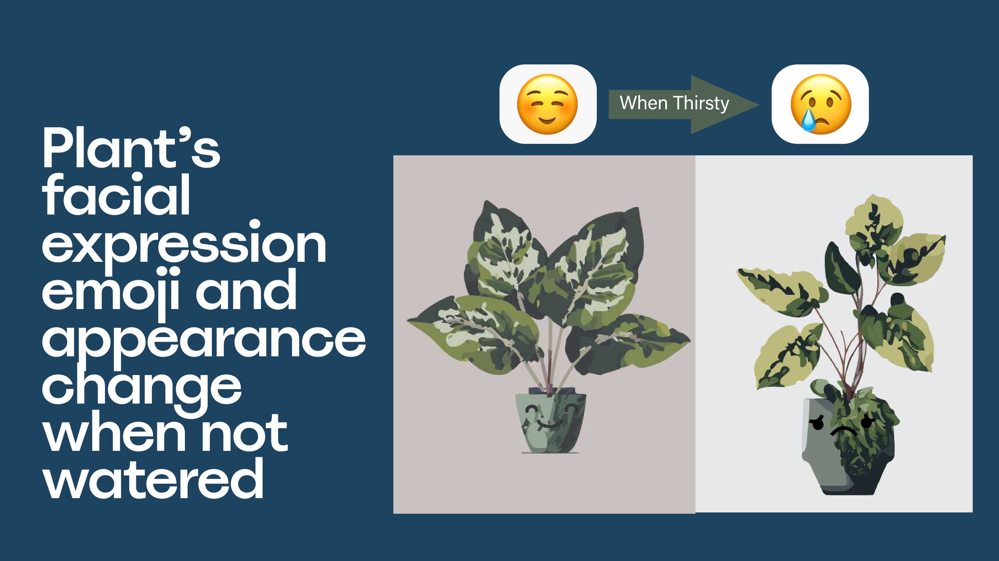 Storyboard: three simultaneous guilt triggers when plant goes dry